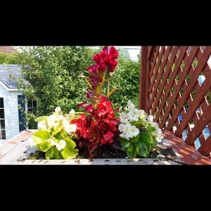 Meet your Posher, Flor